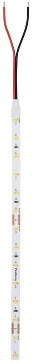 Actual product image Paulmann Pro Strip Silver P25 (Warm white, 500 cm, Indoor)