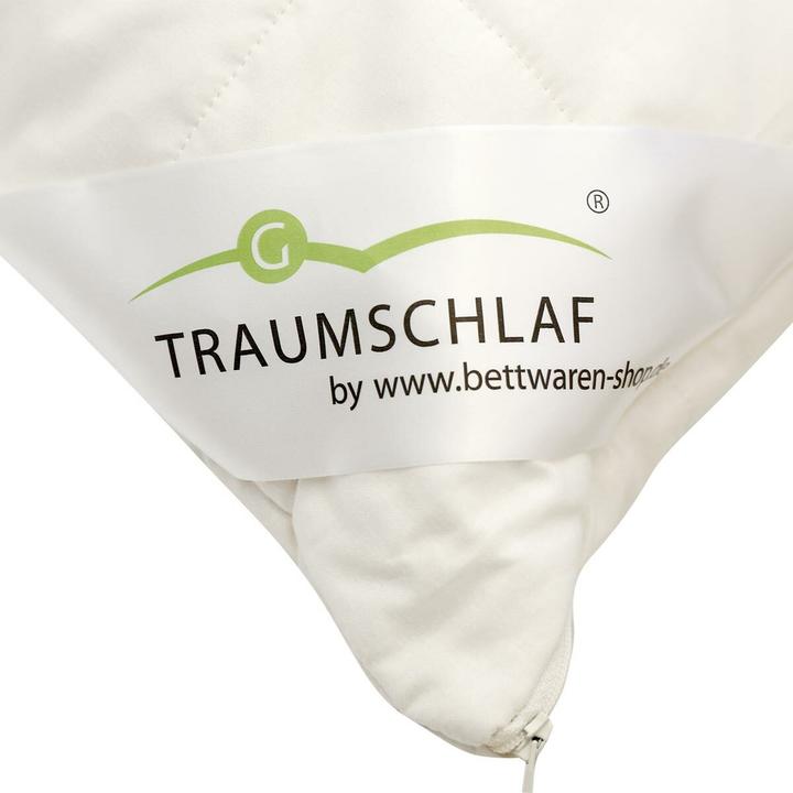 Produktbild Traumschlaf kbA (65 x 100 cm)