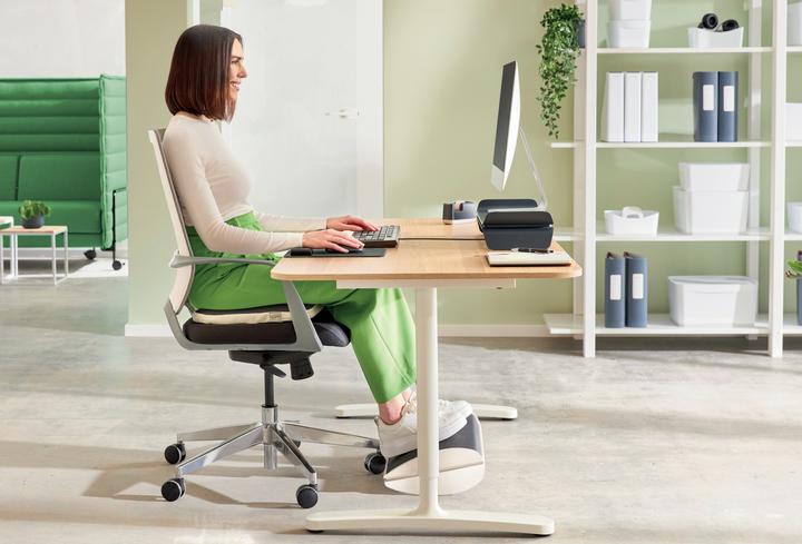 Actual product image Leitz Ergo (16 x 32 x 54 cm)