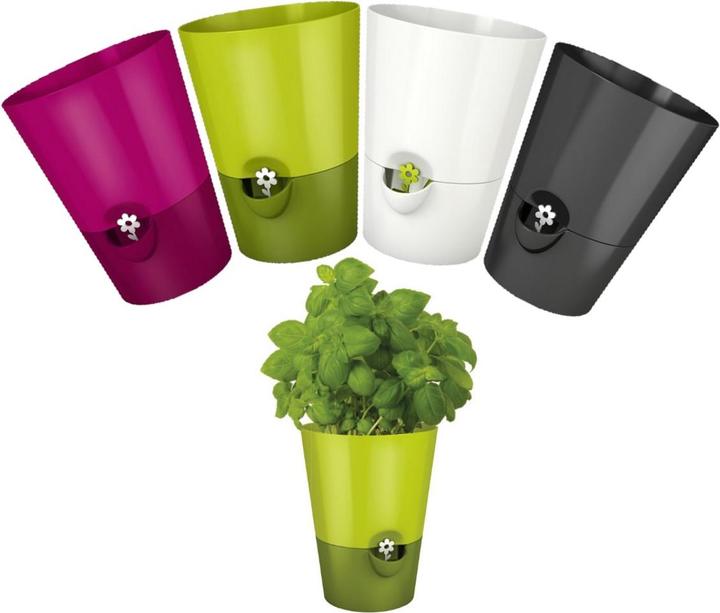 Image du produit Emsa Herbes fraîches (13 cm)