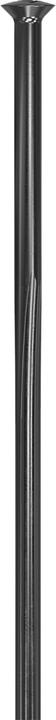 Actual product image DT Swiss Revolite Straightpull (29")