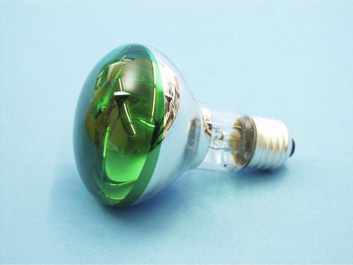 Image du produit Omnilux R80 230V/60W E-27 vert (60 W, E27)