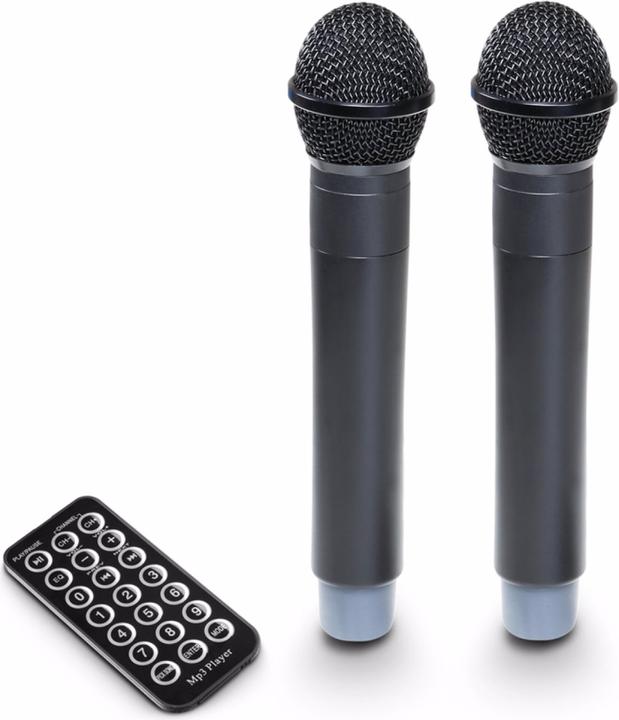 Actual product image LD Systems ROADBUDDY 10 HHD 2 B6 Battery Powered Bluetooth Speaker