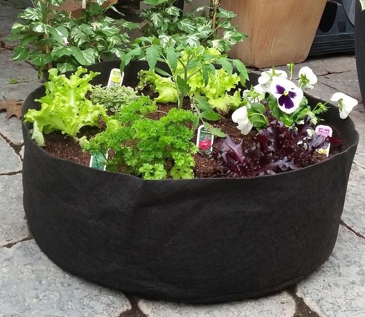 Image du produit Smart Pot Conteneur d'aération 65