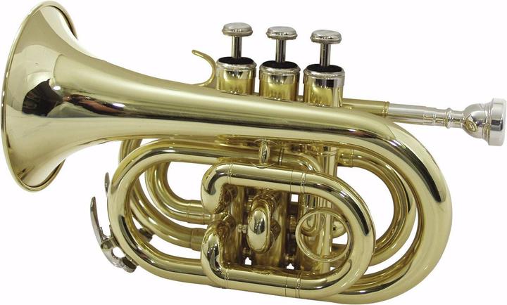 Dimavery TP-300 Bb pocket trumpet, gold (Trumpets)