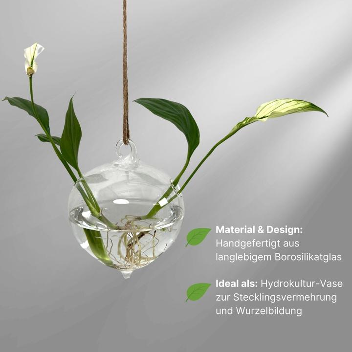 Image du produit Hermex Vase en verre suspendu (1 x, 9 x 9 x 12 cm)
