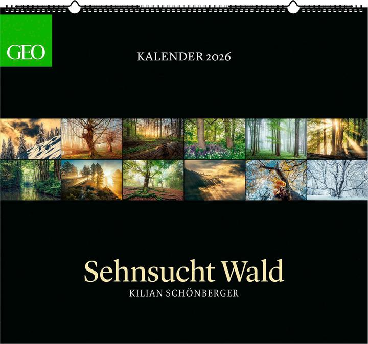 Neumann GEO Kalender: Sehnsucht Wald 2026 - Wand-Kalender - Natur-Kalender - 60x55 (Harter Einband, Deutsch)