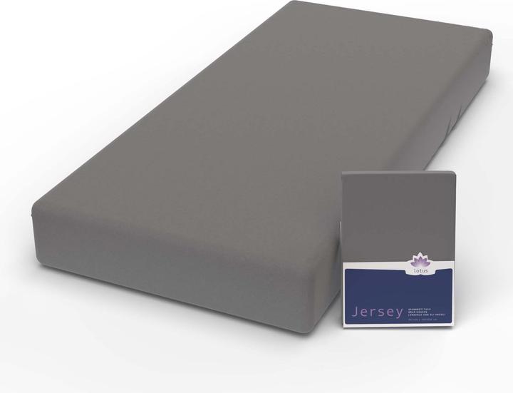 Image du produit Lotus Bettwaren Jersey Fix Comfort (120 x 200 cm)