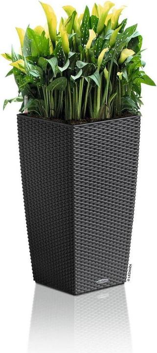 Actual product image Lechuza Cubico Cottage (29.50 cm)
