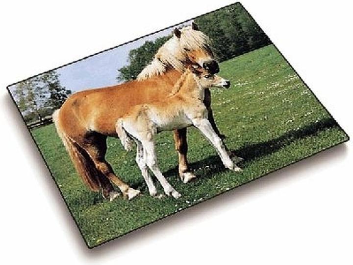 Image du produit Läufer Motif 40x53 cheval/foal. (53 x 40 cm)