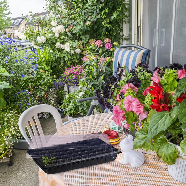 Produktbild Relaxdays Anzuchtkasten