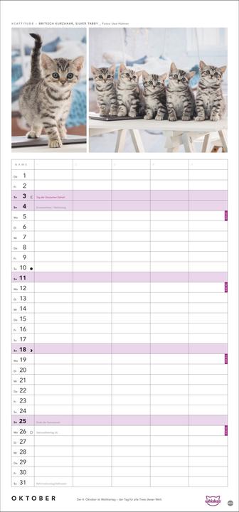 Image du produit Whiskas'Cattitude'Familienplaner2026 (21 x 45 cm, Couverture rigide, Allemand)