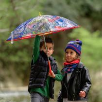 Image du produit Paw Patrol Pat"Patrouille - parapluie poe manuel, 42 cm, ble