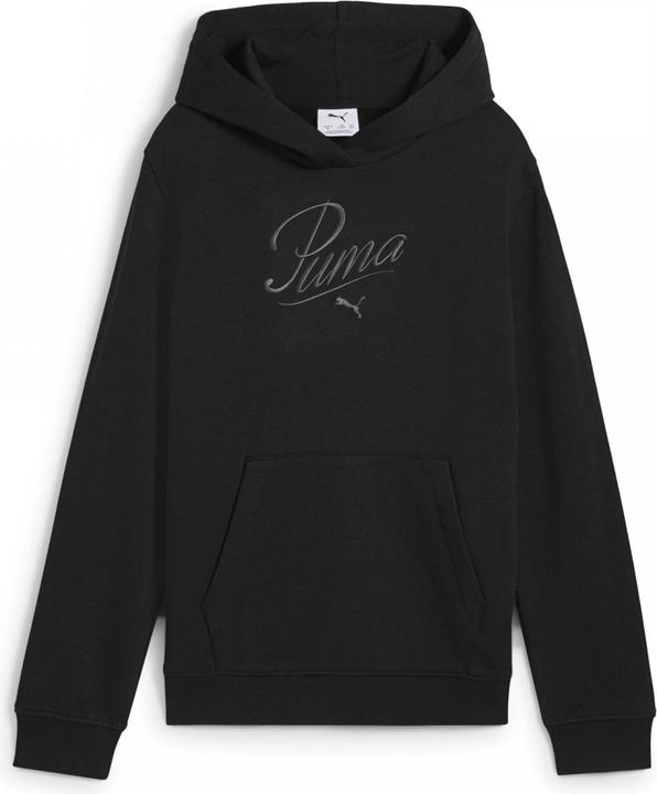 Produktbild Puma ESS SCRIPT Hoodie TR G (176)