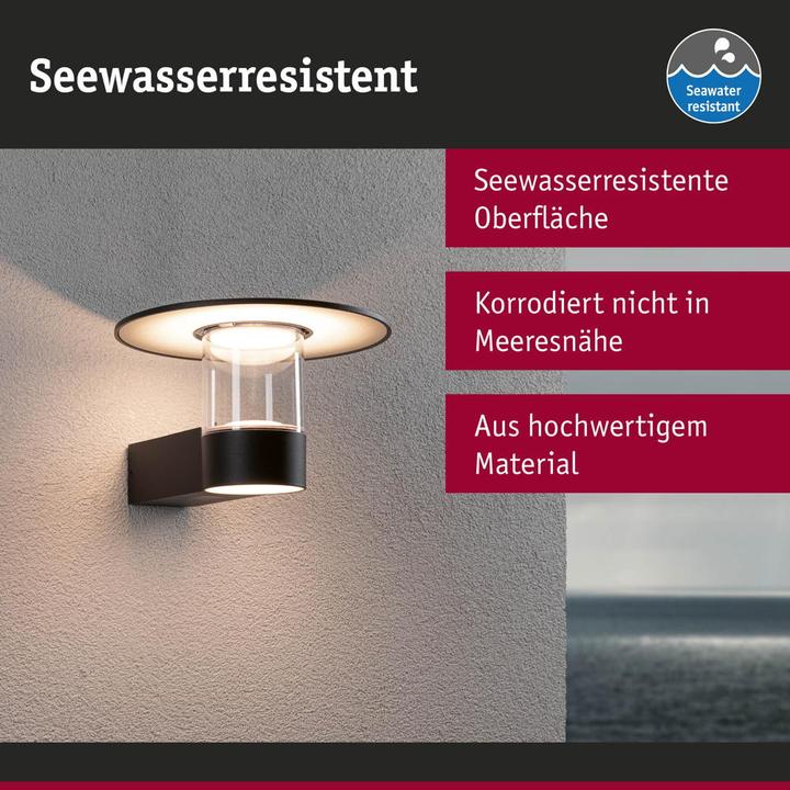 Actual product image Paulmann Sienna (950 lm, IP44)
