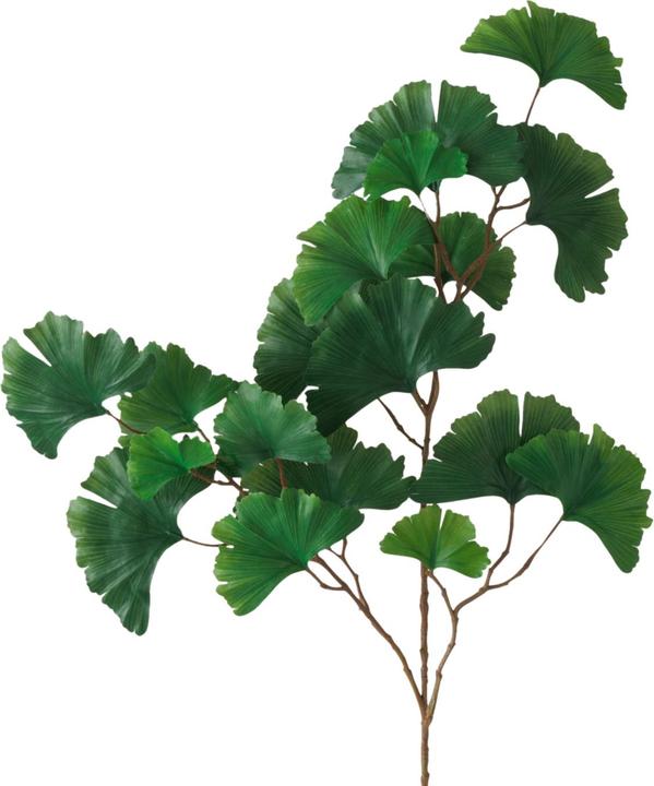Actual product image Boltze Home Gingko (2 cm)