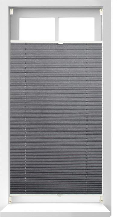 Immagine prodotto Relaxdays cieco plissettato (90 x 2 x 210 cm)