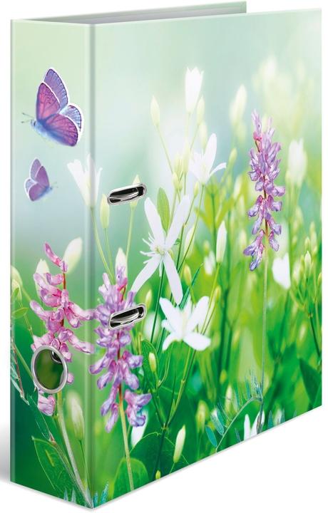 Image du produit HERMA Dossier A4 Motif (A4, 70 mm, 1 pièce(s))