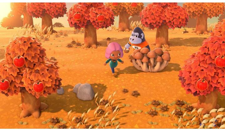 Immagine prodotto Nintendo Animal Crossing: New Horizons (Switch, Multilingue)