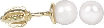 Brilio Ladies gold earrings with pearl 235001 00403