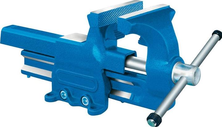 Image du produit Forum Professional Solutions Etau parallèle 100mm avec enclume (127 mm)