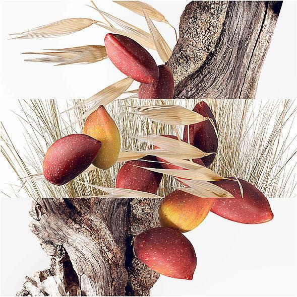 Produktbild Hermès Un Jardin a Cythere (Eau de Toilette, 50 ml)