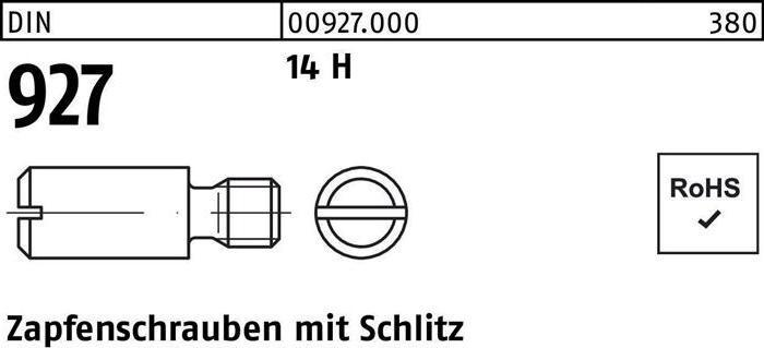 Productafbeelding Tapschroef DIN 927 met sleuf M 6 x 10 14 H (100 Schroeven per stuk)
