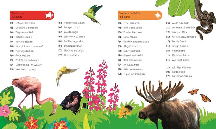 Actual product image Was weisst du über Tiere? (German, Frauke Bahle, Frauke Bahle|DK Verlag - Kids, 2018)