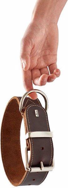 Actual product image Hunter Collar Aalborg Special (40, 41, 42, 43, 44, 45, 46, 47, 48, Dog, Dog sport)