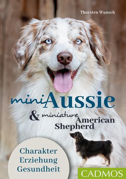 Mini Aussie und Miniature American Shepherd (Deutsch, Thorsten Wunsch, 2021)