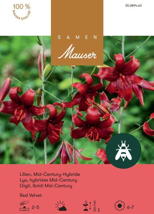 Produktbild Samen Mauser Lilie Mid Century-Hybride, Lilium Red Velvet, 3 Zwiebeln (Blumenzwiebel)