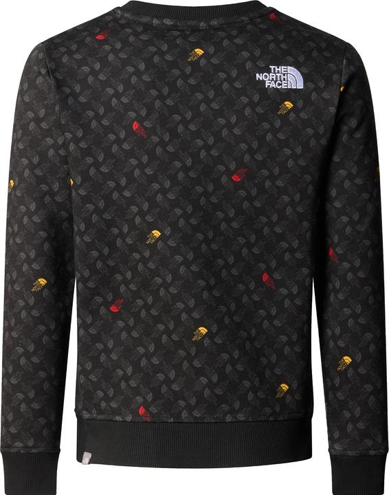 Immagine prodotto North Face Drew Pealight Crew Print da ragazzo (XS)
