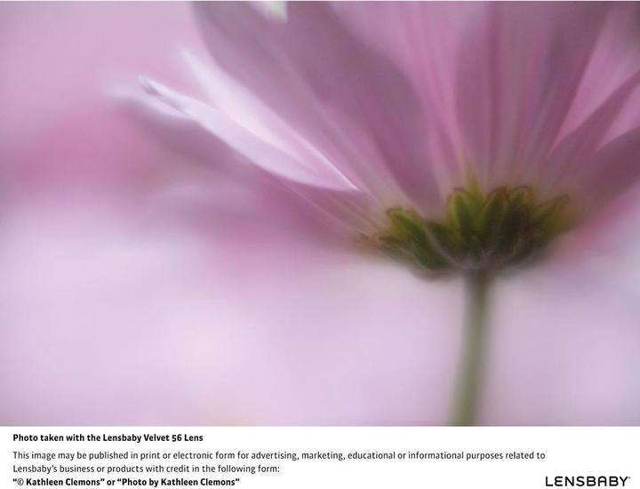 Actual product image Lensbaby Velvet 56mm, f/1.6 for Nikon (Nikon F, full size)