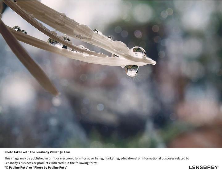 Actual product image Lensbaby Velvet 56mm, f/1.6 for Nikon (Nikon F, full size)