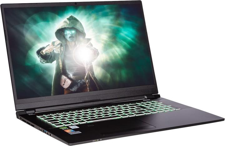 Actual product image Captiva I61-004 (17.30", Intel Core i7-10750H, 32 GB, 1000 GB, DE)