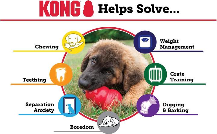 Actual product image KONG Puppy (Puppy Toy)