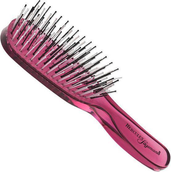 Actual product image Hercules Sägemann Scalp Brush Junior Blackberry 8101