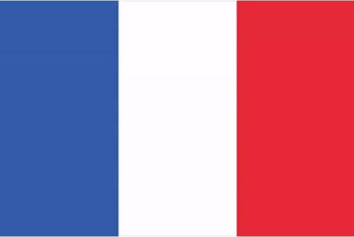 Actual product image Europalms Flag, France, 600x360cm