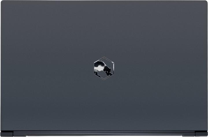 Produktbild Joule Performance Ares RTX 3070 (15.60", Intel Core i7-11800H, 16 GB, 1000 GB, CH)