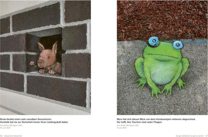 Produktbild David Zinn. Street Art (Deutsch, David Zinn, 2022)