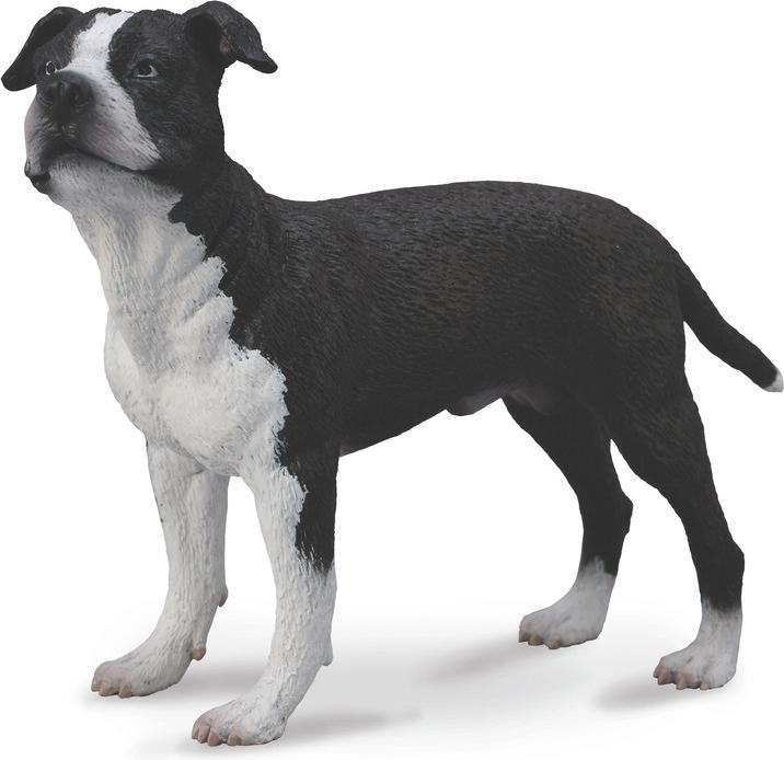 Image du produit Collecta Figurka collectionne les AMERICAN STAFFORDSHIRE TERRIERS