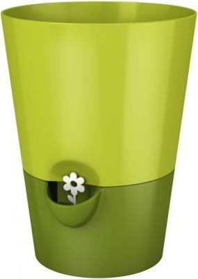 Emsa Erbe fresche (13 cm)