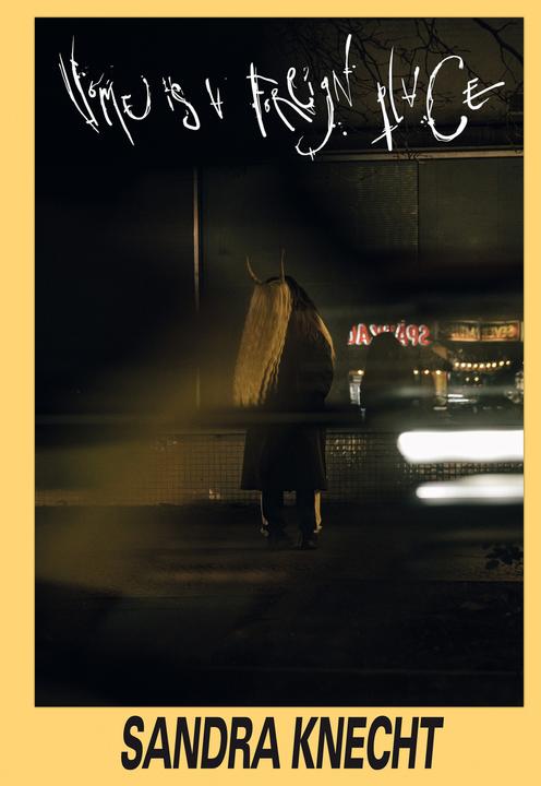 Image du produit Sandra Knecht. Home is a Foreign Place (Anglais, Susanna Koeberle, Birgit Stammberger, Studio Krispin Heé (Krispin Heé, Tim Wetter), Fondation culturelle de Bâle H. Geiger Geiger | KBH.G, Laura Ewert, Hans Ulrich Obrist, 2025)