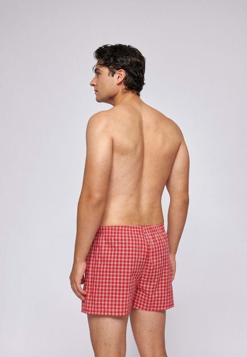 Actual product image Snocks American boxer shorts (M, pack of 3)