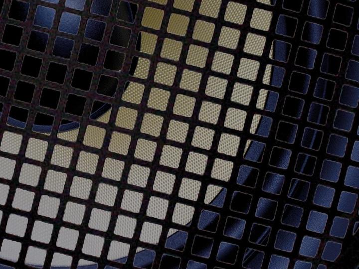 Immagine prodotto Velleman GRIGLIA DI PROTEZIONE PER LOUDSPEAKER, 20,3 cm - NERO