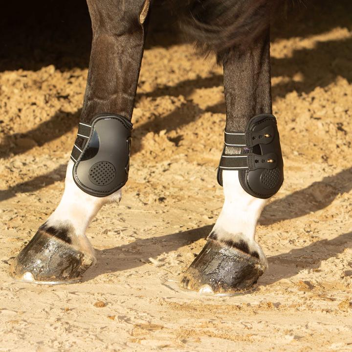 Immagine prodotto Harry's Horse Elite-R