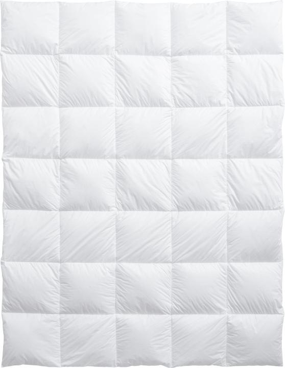 Actual product image Billerbeck Climacontrol Classic (570 g, 160 x 240 cm)