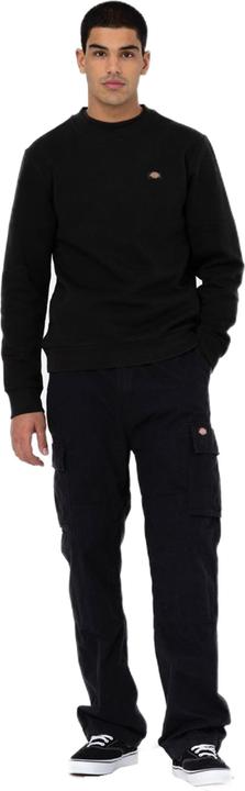 Produktbild Dickies Eagle Bend (29)