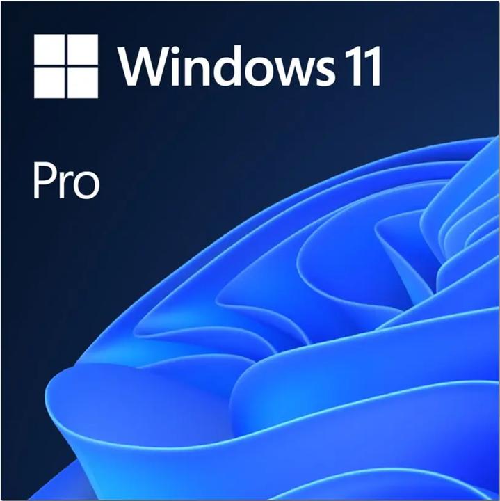 Actual product image Microsoft Windows 11 Pro (1 User, 1 Devices/Users, unlimited)