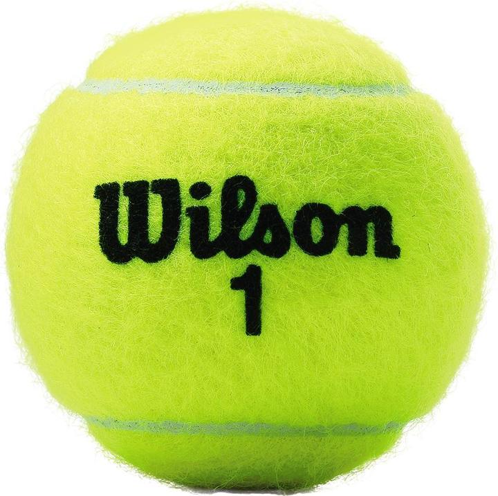 Actual product image Wilson Tennis balls CHAMPIONSHIP 3 pieces WRT100101